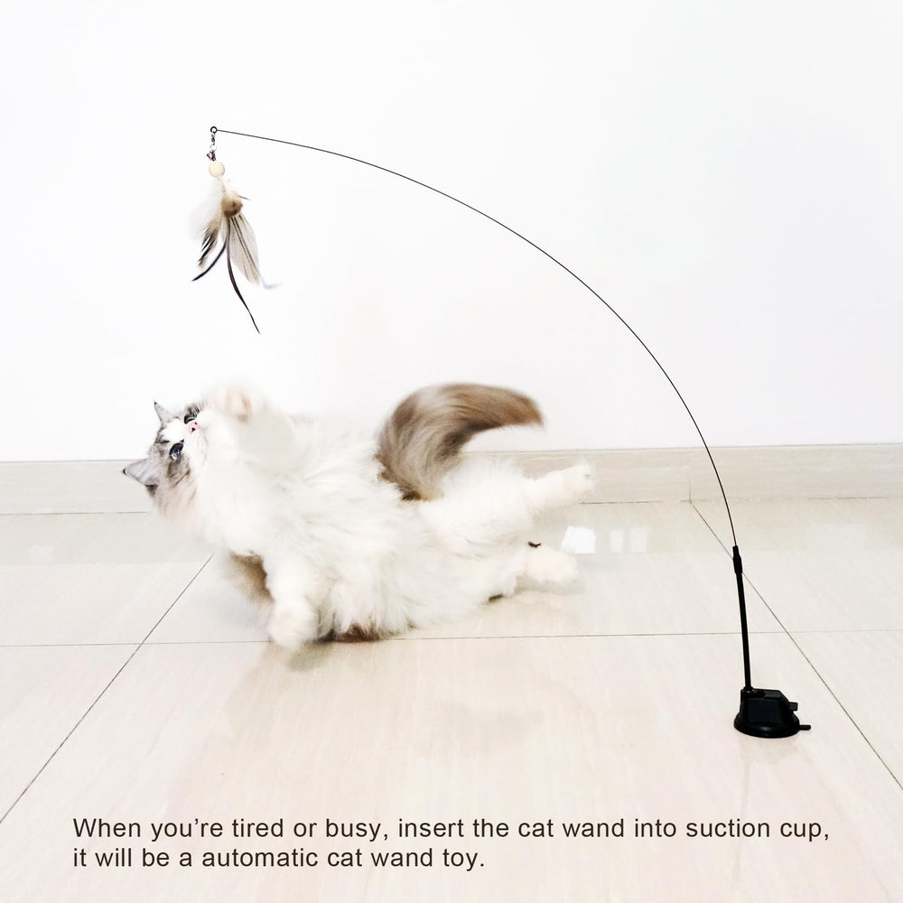 Utilisation intérieur TTcat, idéal pour exercices et amusement du chat.