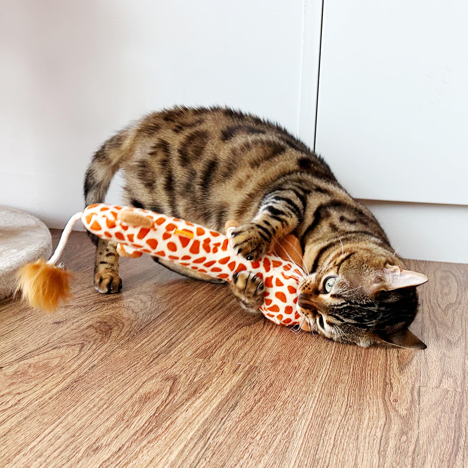TTcat Oreiller chat taille grande: convient pour chats et chatons.