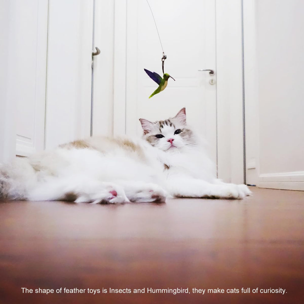 TTcat plumes naturelles insectes – favorisent l’exercice et le mouvement