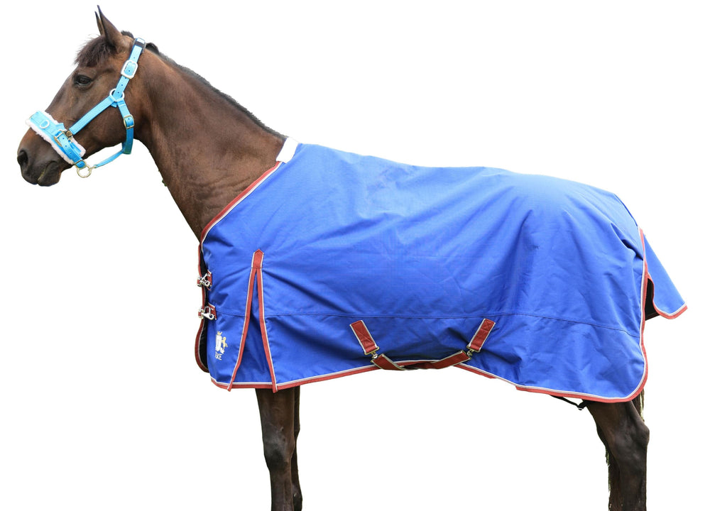 T TEKE Deluxe Turnout – extérieur 1200D imperméable et respirant pour cheval actif.