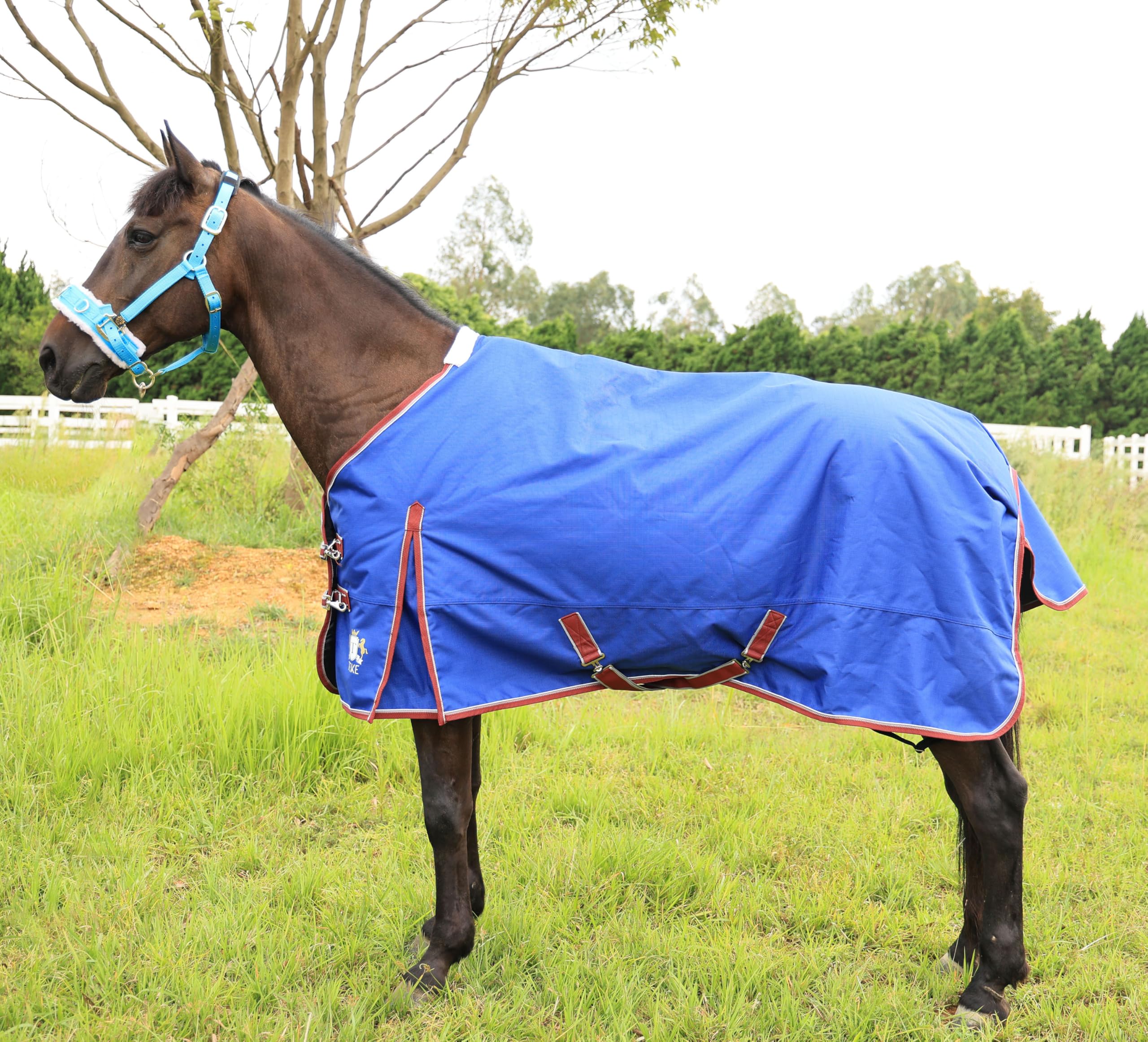 T TEKE Deluxe Turnout – doublure nylon soyeuse pour un confort sur le pelage.
