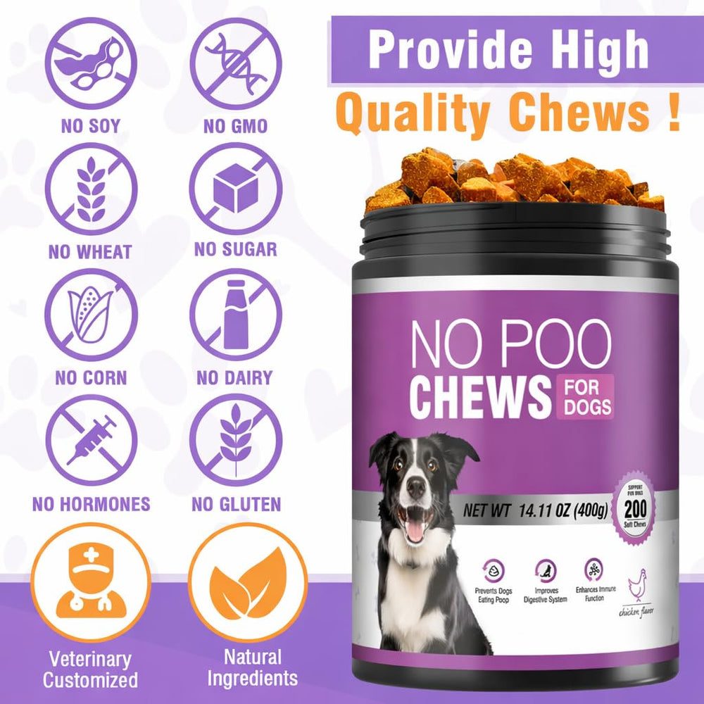 TTIXRL utilisation quotidienne facile pour chien, intégration simple dans la routine.