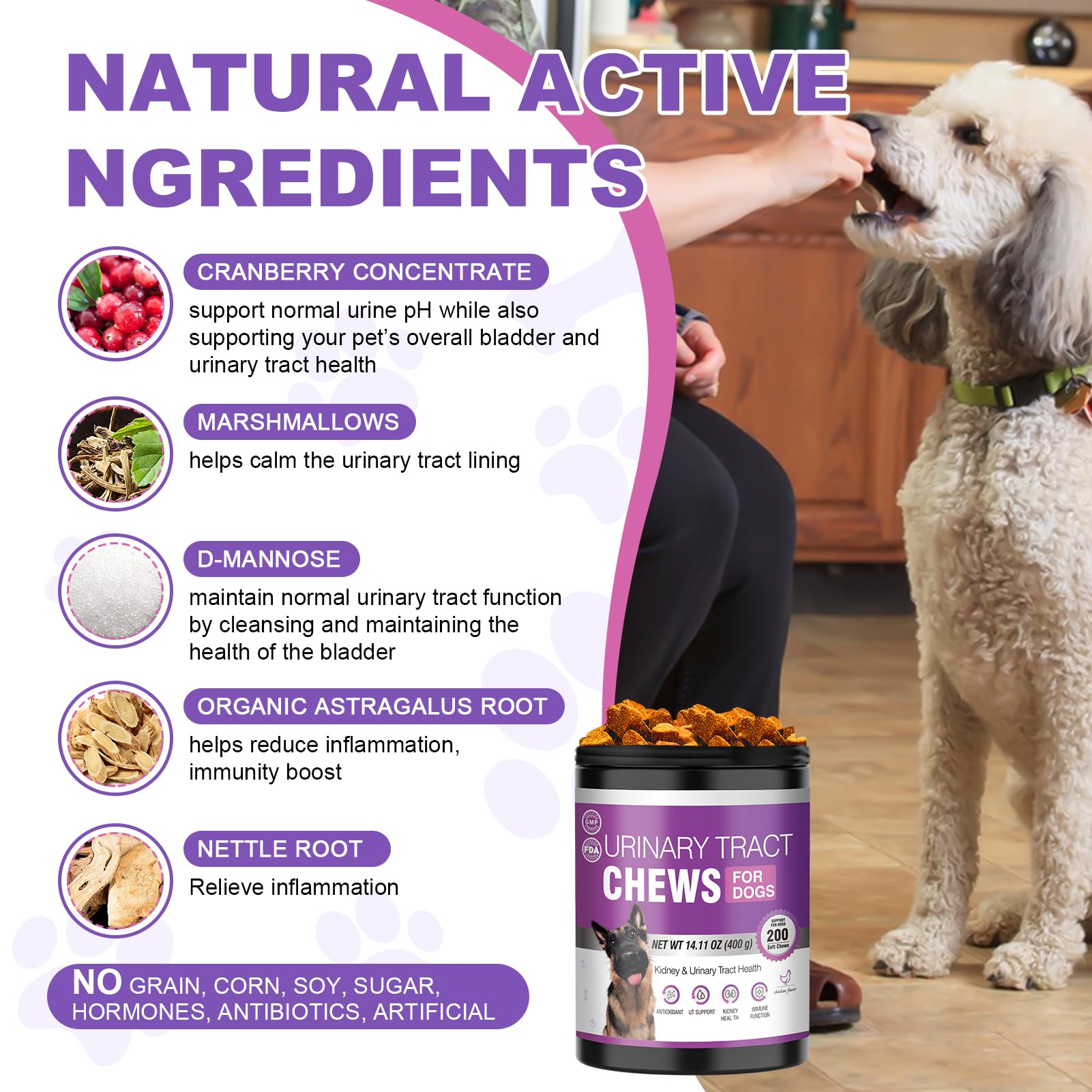 TTLXBL Astragale et cranberries chien, complément naturel pour la vitalité générale