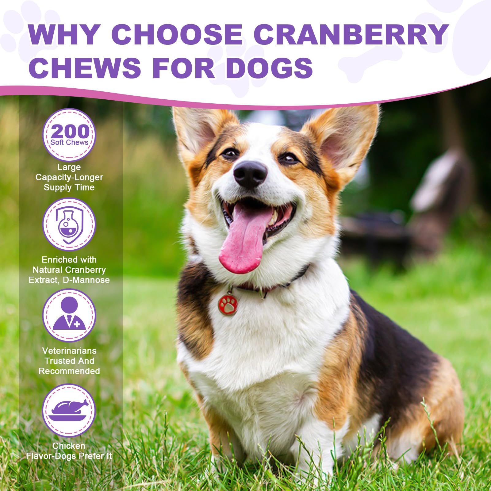 TTLXBL Emballage cranberries chien, dosage flexible pour l’entretien urinaire et le bien-être