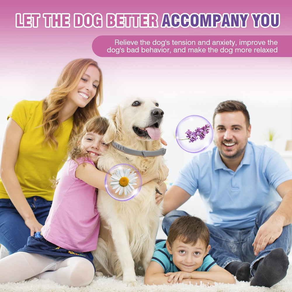 TTLXBL collier phéromone chien – reglable 25 pouces, ajuste facilement pour tous les chiens.