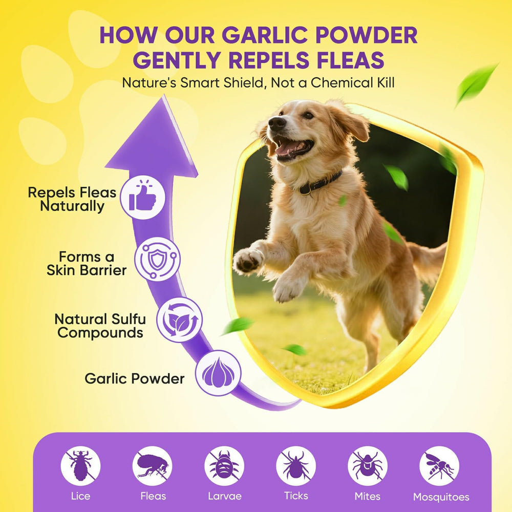 TTLXBL comprimé poulet chien - goût apprécié et solution simple pour la prévention.