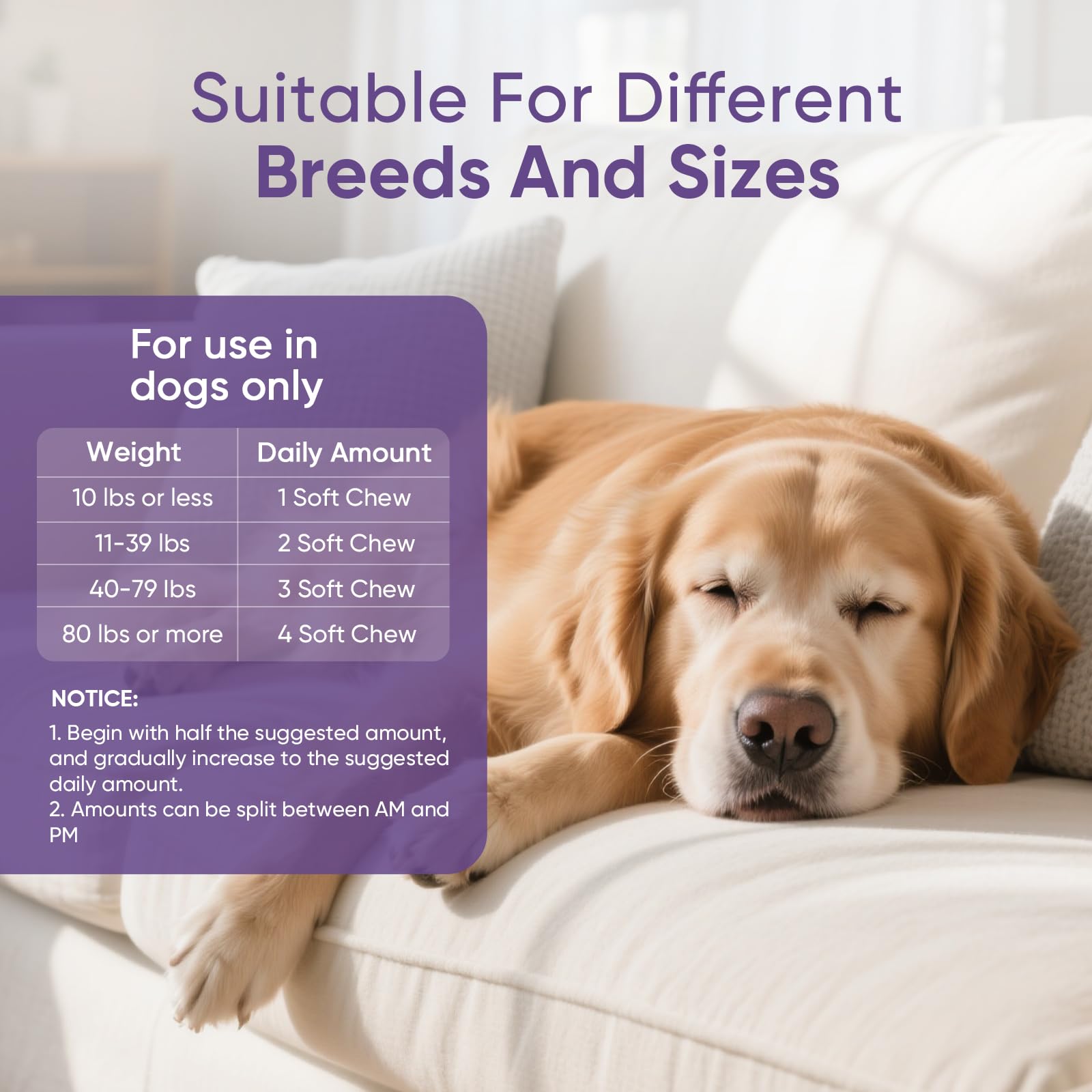 TTLXRL Calming Chews adaptes a toutes tailles de chiens.
