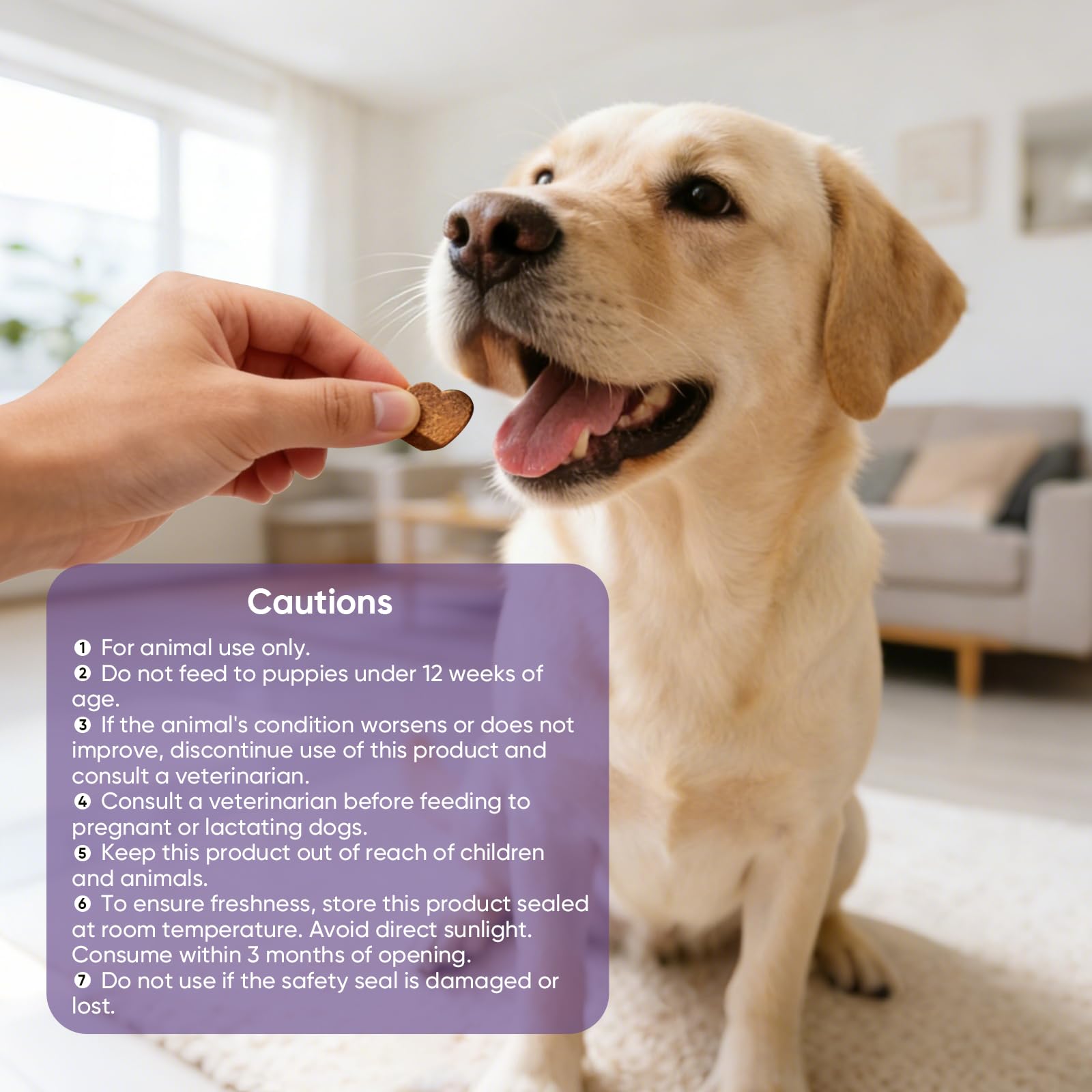 TTLXRL Calming Chews conseils d'utilisation pour routine apaisante.