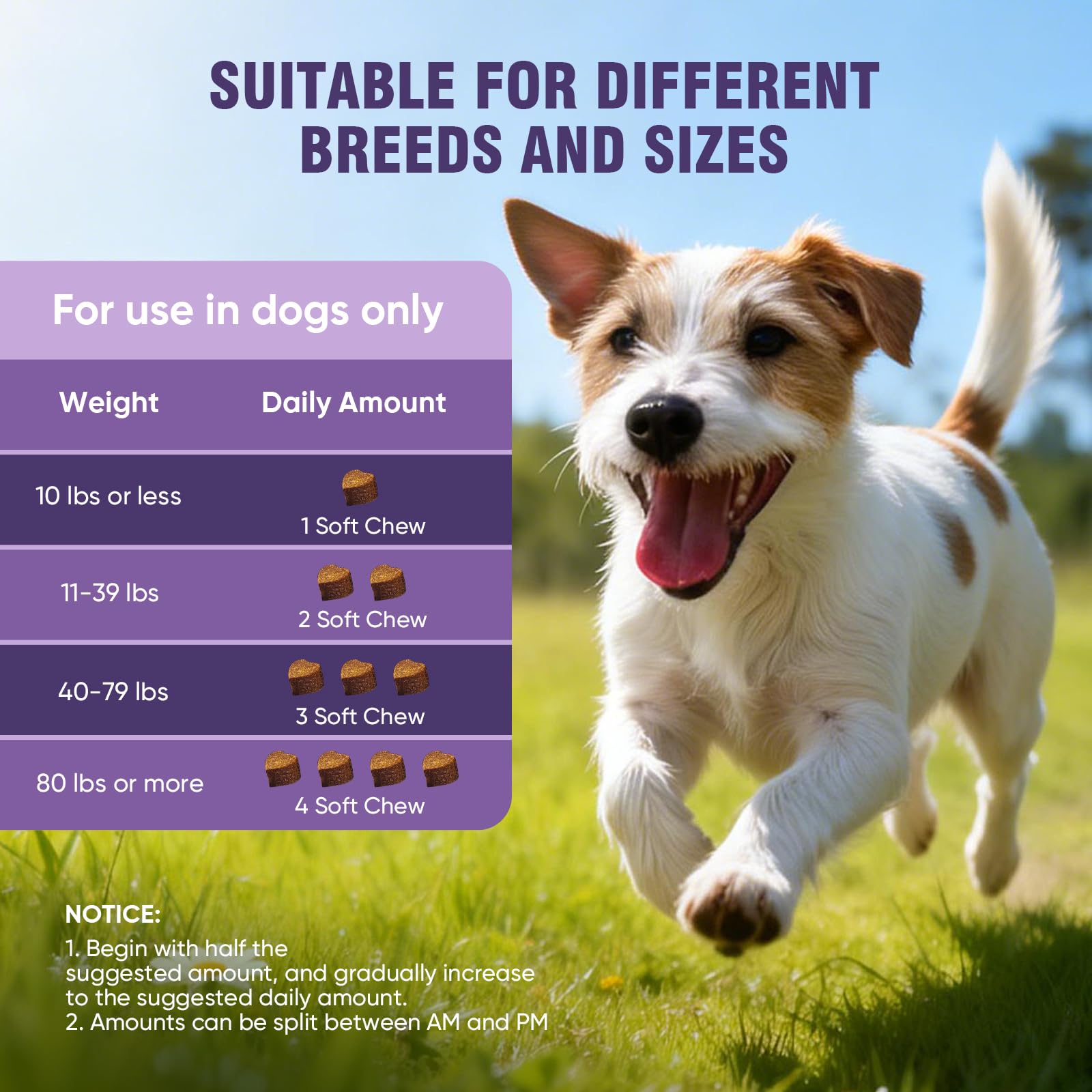 TTLXRL Dog Allergy Chews – Colostrum pour favoriser des réponses immunitaires naturelles.