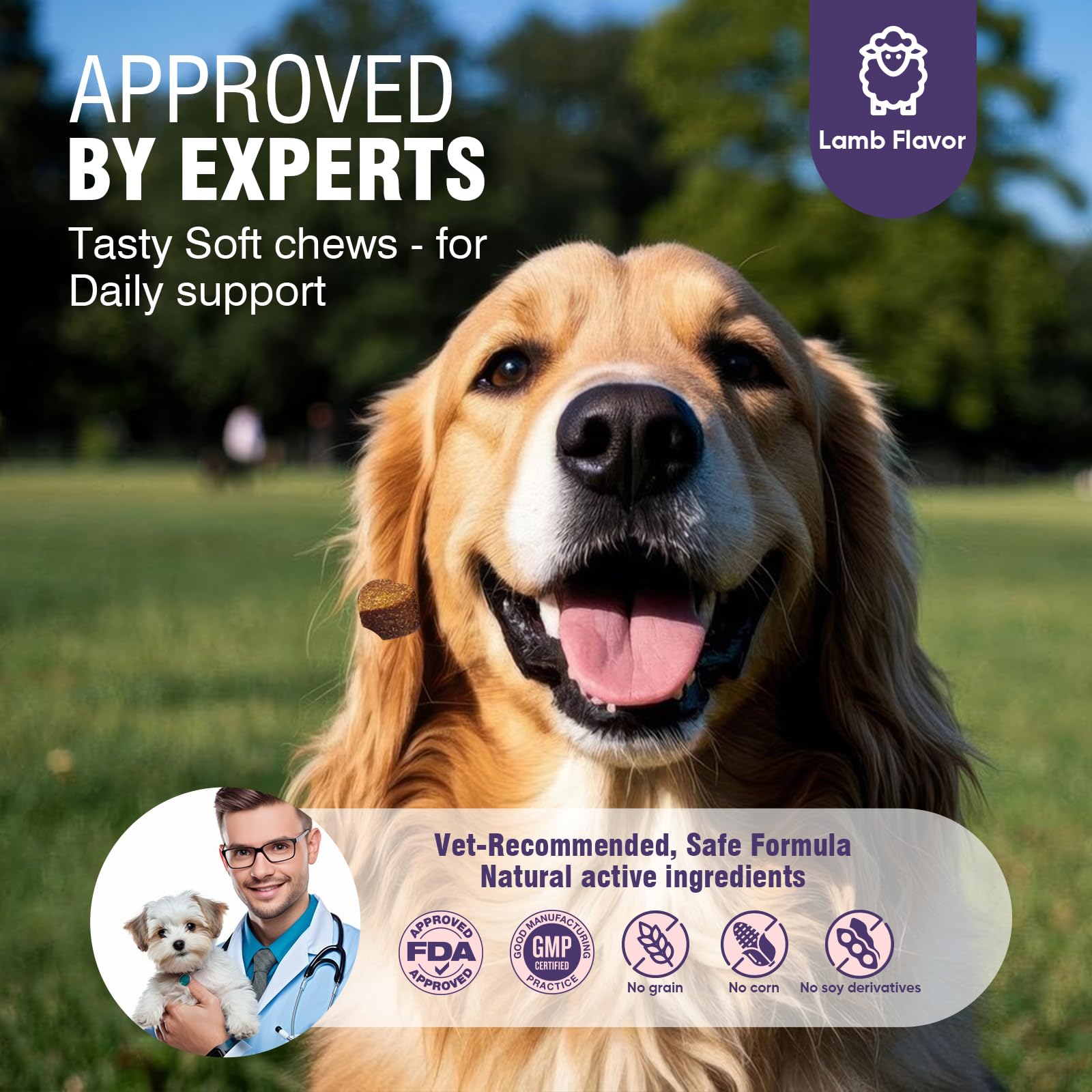 TTLXRL Dog Allergy Chews – Saumon riche en oméga-3 pour peau éclatante.