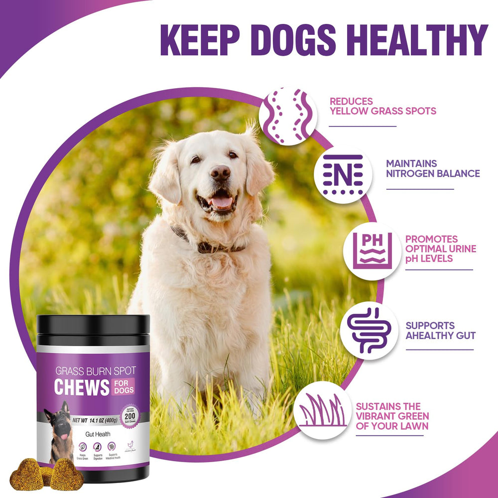 TTLXRL friandises chien goût poulet apaisant pour chiens difficiles