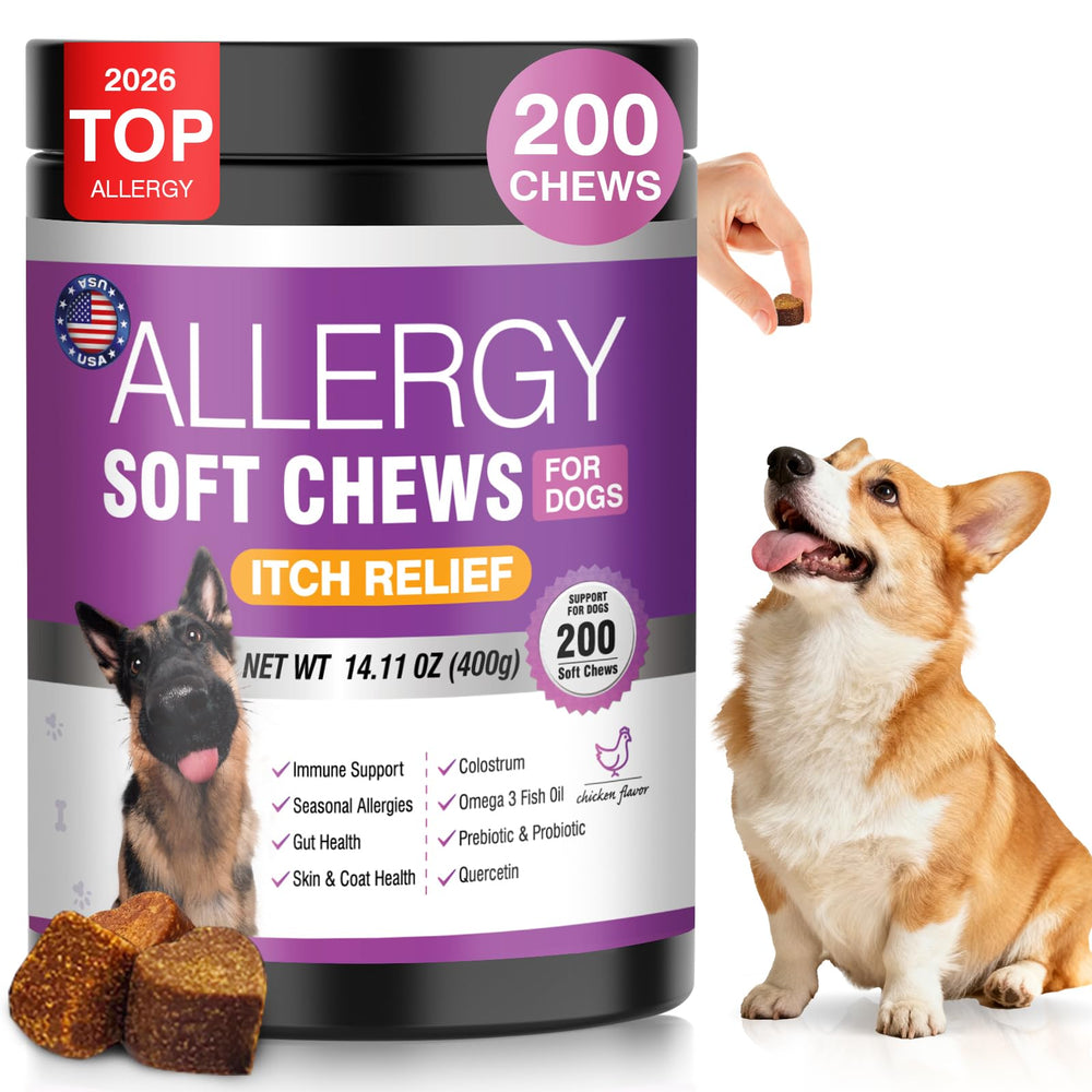 Gomme TTLXRL Allergie Chien emballage pratique et facile à distribuer