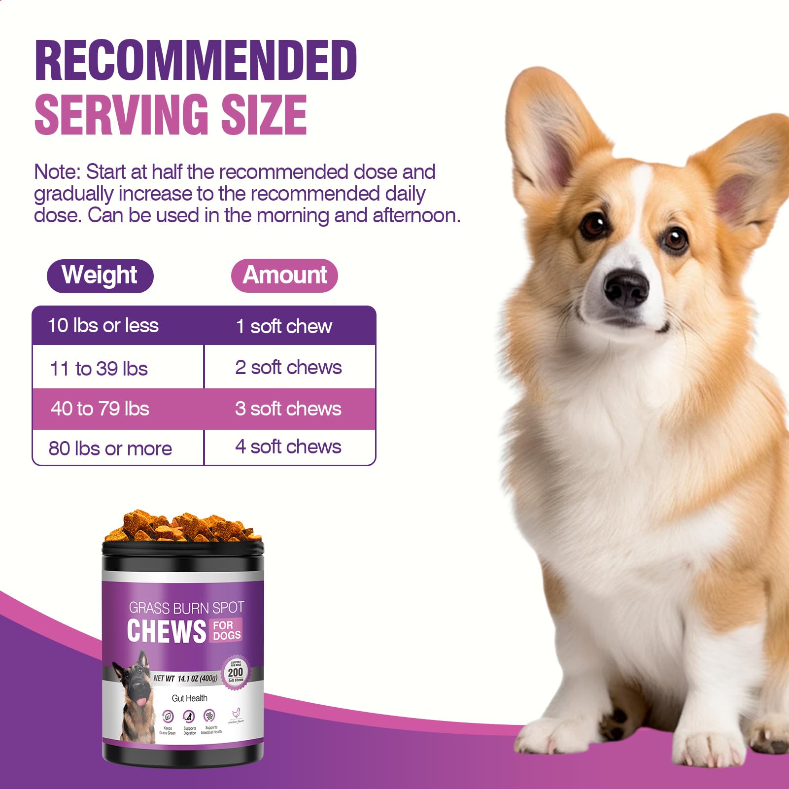 TTLXRL lot de 200 friandises chien, excellent rapport qualité-prix