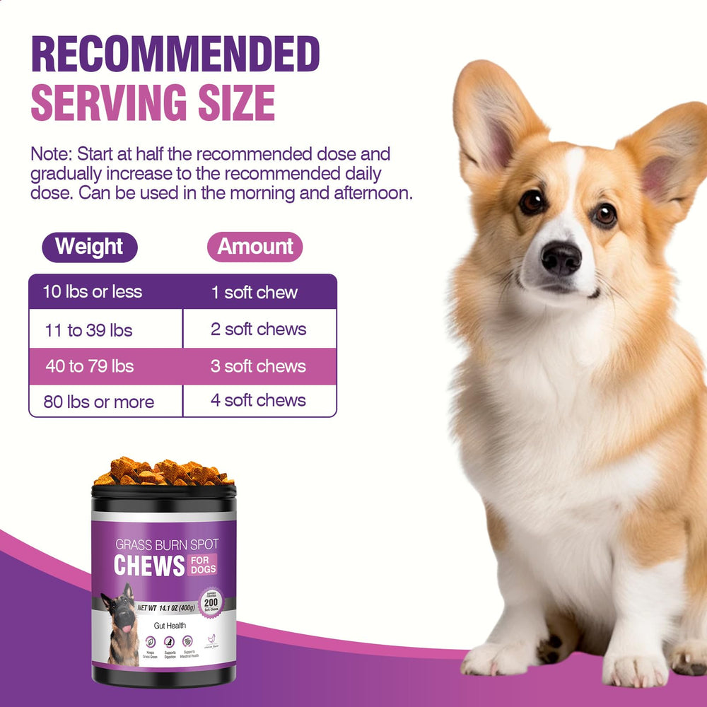 TTLXRL lot de 200 friandises chien, excellent rapport qualité-prix