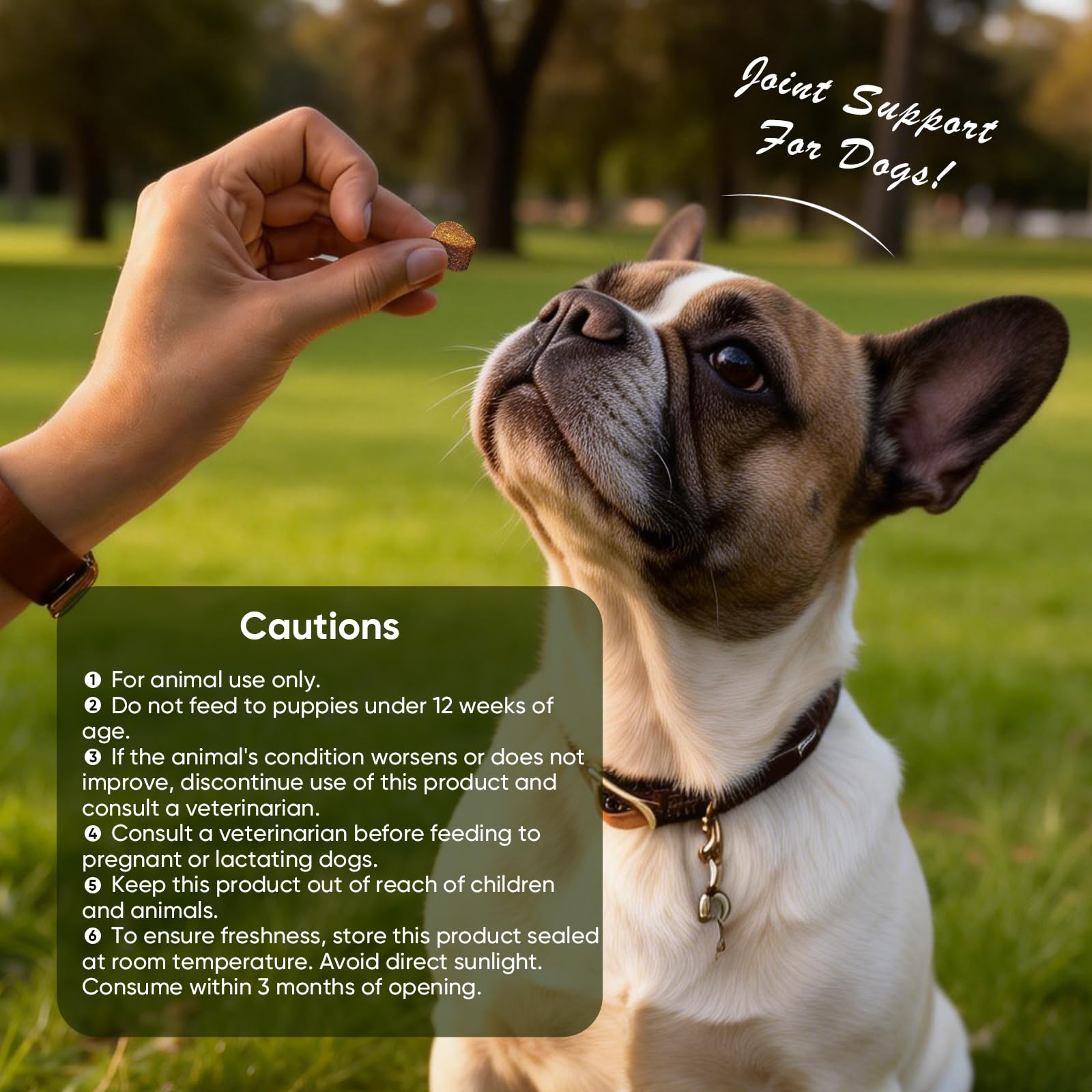 TTLXRL Mouvement quotidien facilité, supports articulaires pour chien.