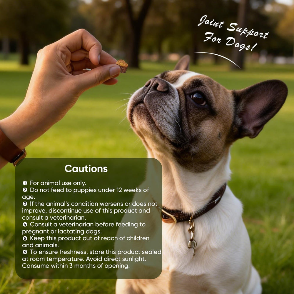 TTLXRL Mouvement quotidien facilité, supports articulaires pour chien.