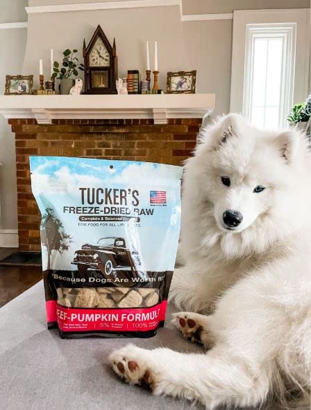 Tucker's Raw Frozen – composé de 95% viande USA et 5% potiron.