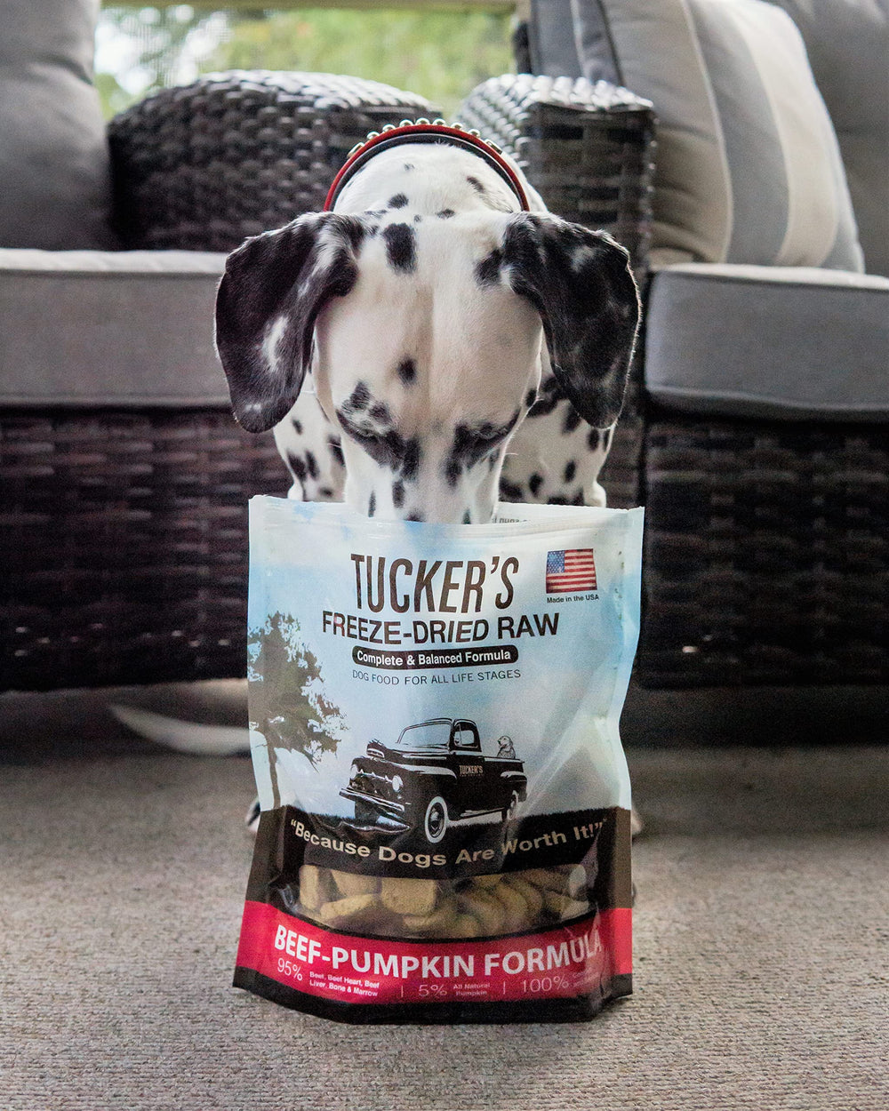 Tucker's Raw Frozen – idéal en voyage pour nourrir sans effort.