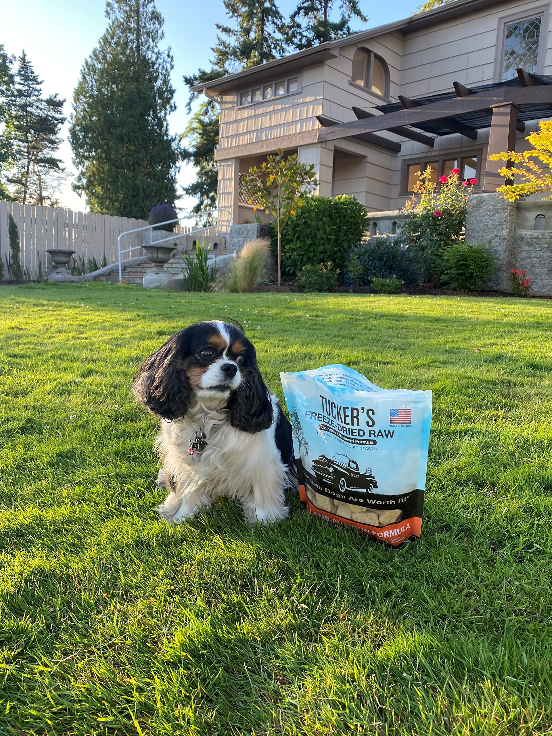 Tucker's Raw Frozen usage topping enrichissant pour le repas