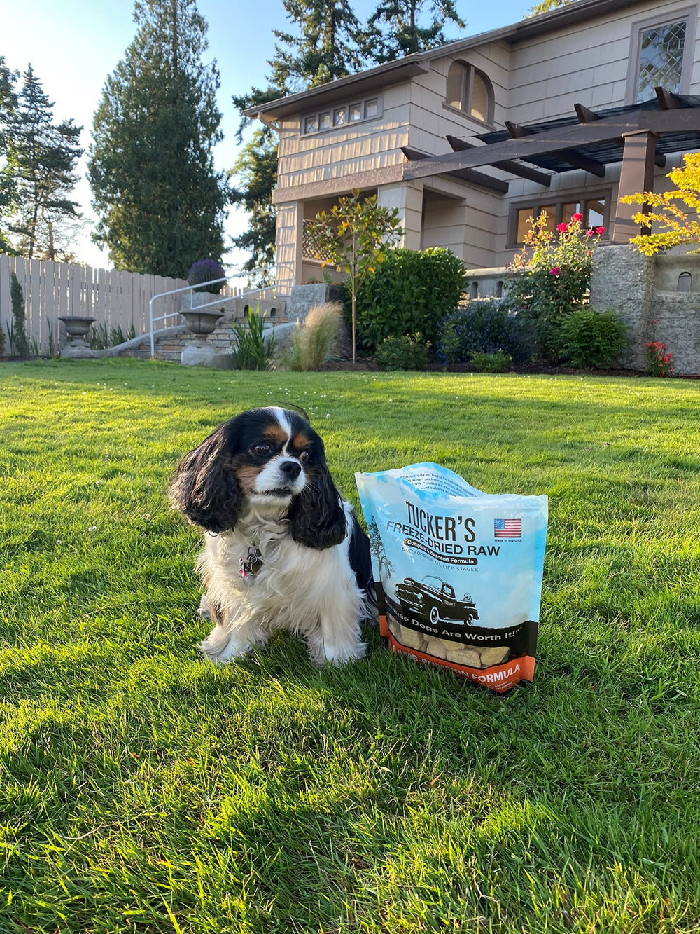 Tucker's Raw Frozen usage topping enrichissant pour le repas