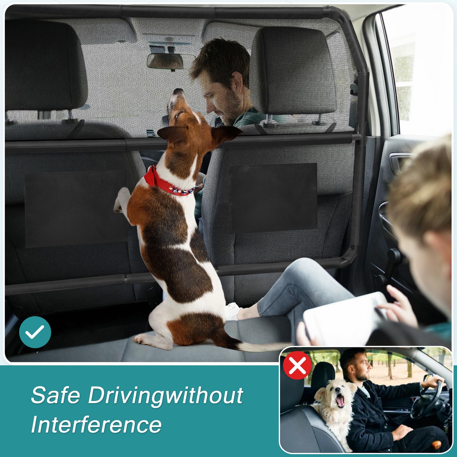 Sécurité routière avec Tuenort: barrière chien empêche les distractions