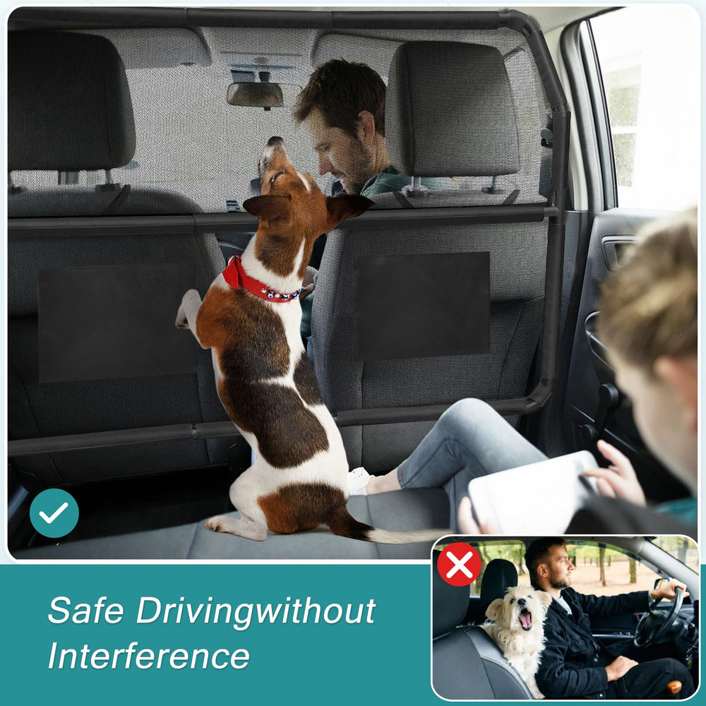 Sécurité routière avec Tuenort: barrière chien empêche les distractions