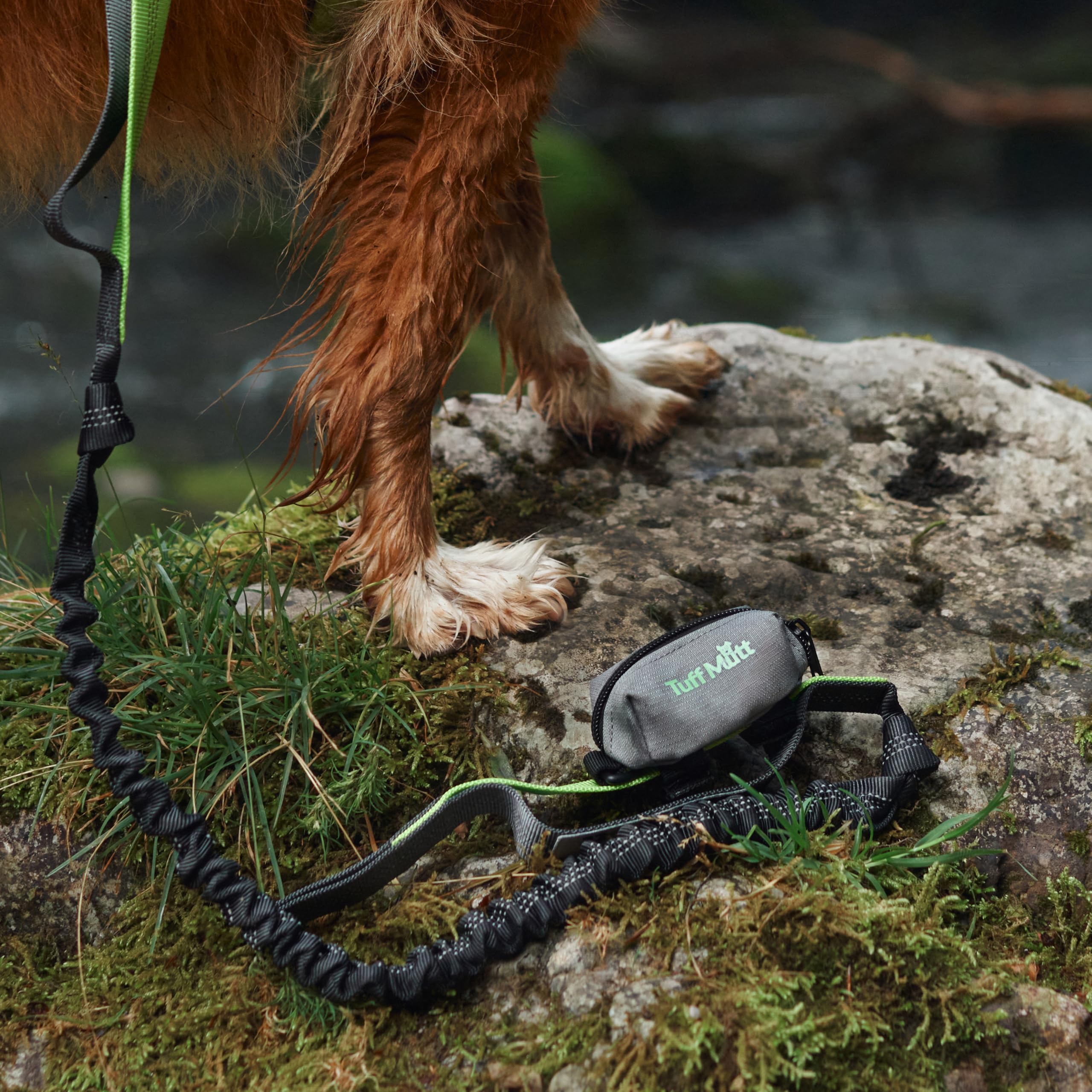 D-ring d’appoint Tuff Mutt pour accessoires et clés.