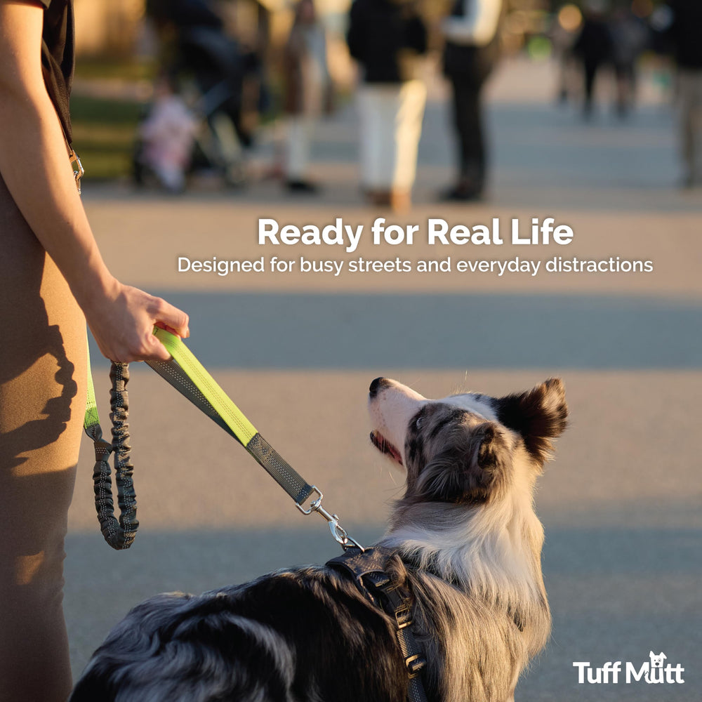 Laisse Tuff Mutt design confortable pour course et randonnée avec chien énergique.