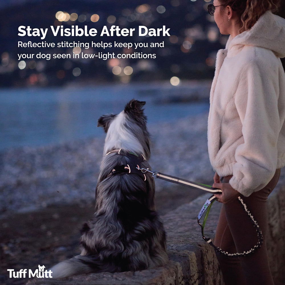 Visibilite-nuit Tuff Mutt pour vous et votre chien en sécurité.