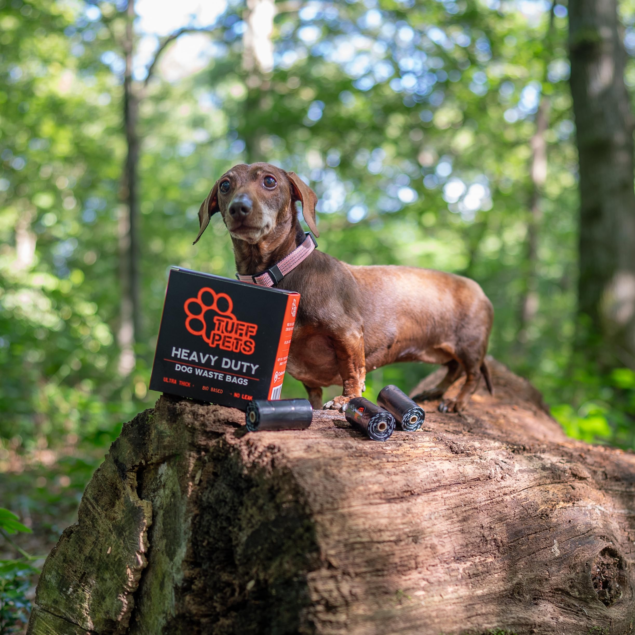 Sacs Tuff Pets adaptés à tous les chiens, petits et grands.