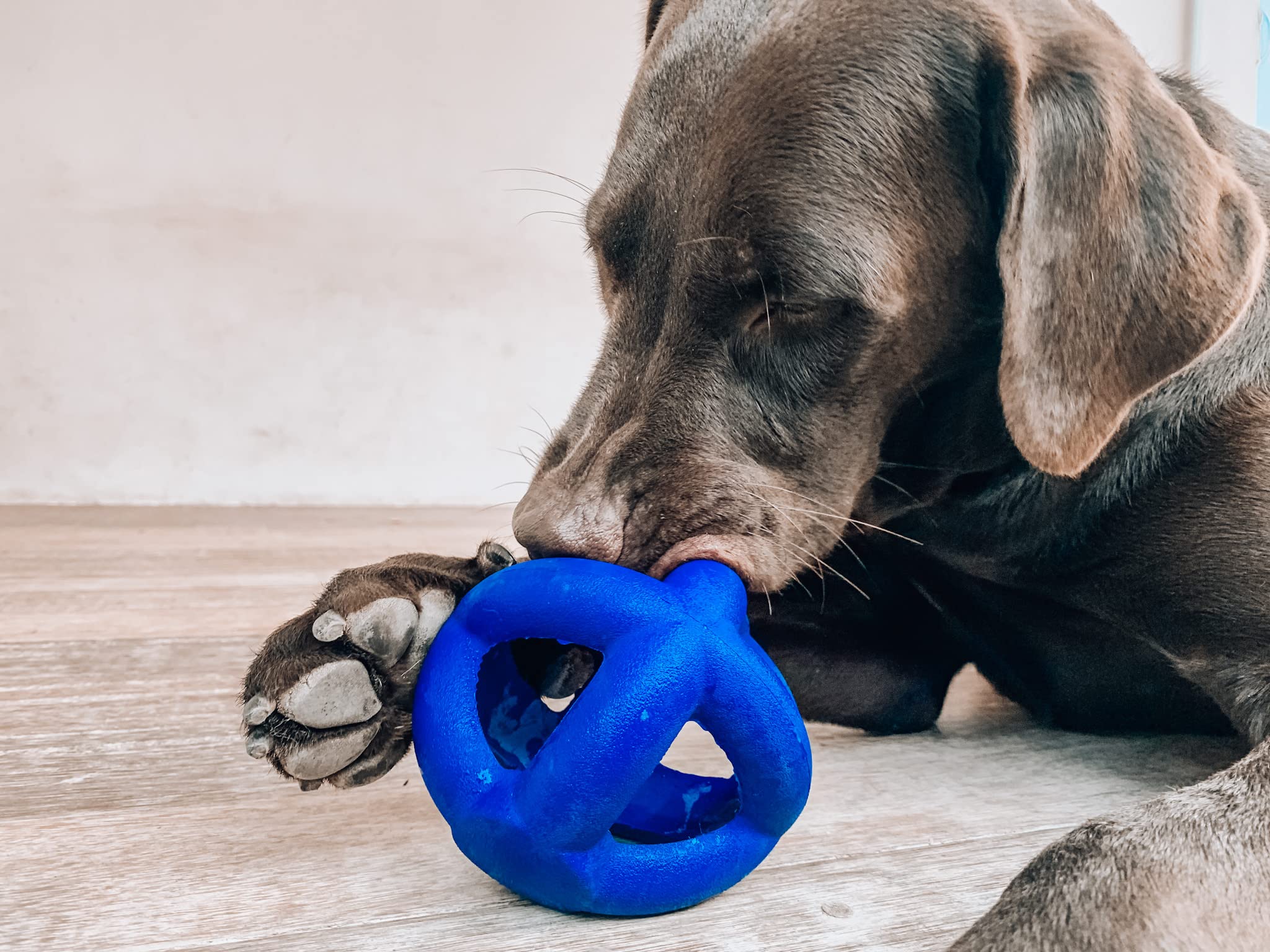 Idéal pour grands chiens et machouilleurs agressifs, divertissement et entraînement en plein air.