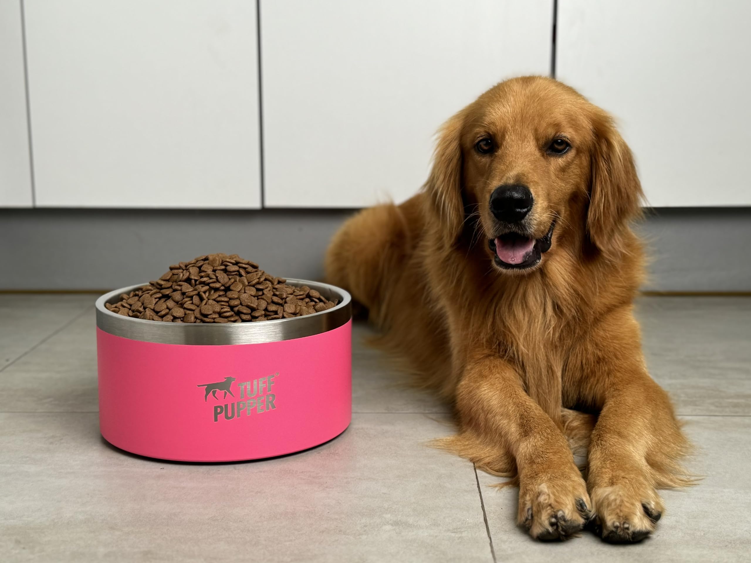 Bol Tuff Pupper double paroi garde l eau froide plus longtemps.