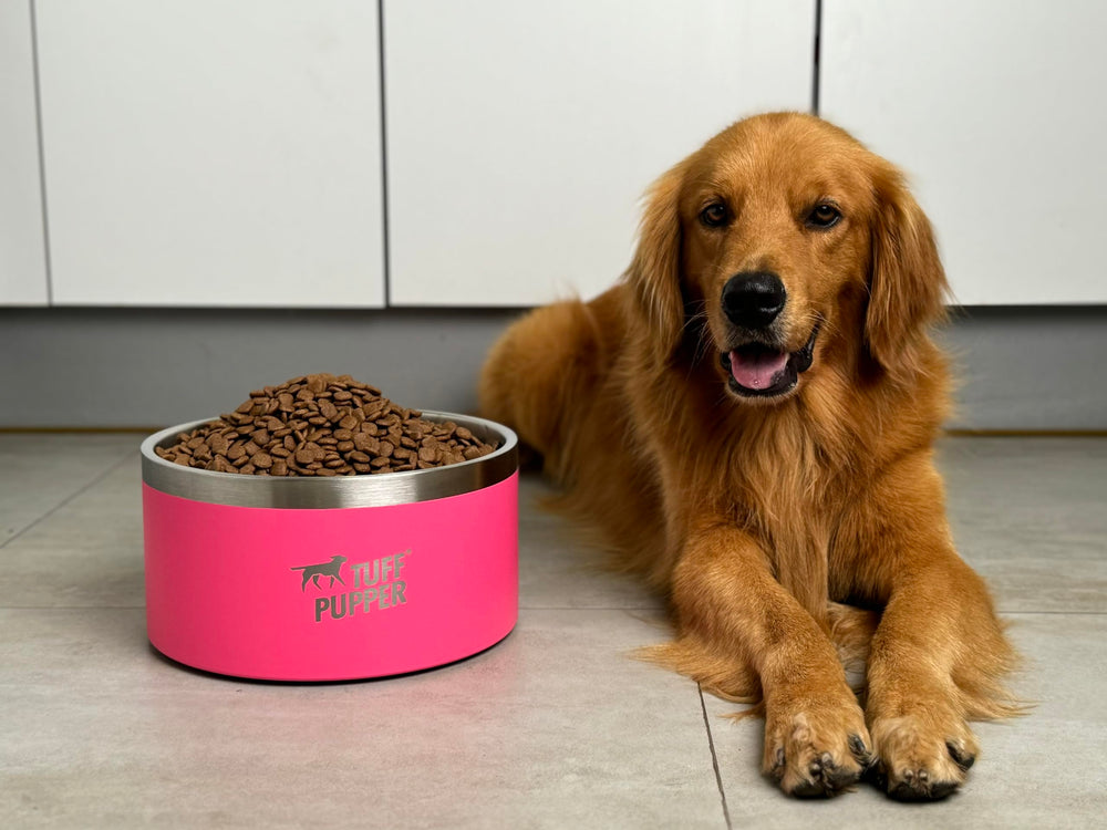 Bol Tuff Pupper double paroi garde l eau froide plus longtemps.