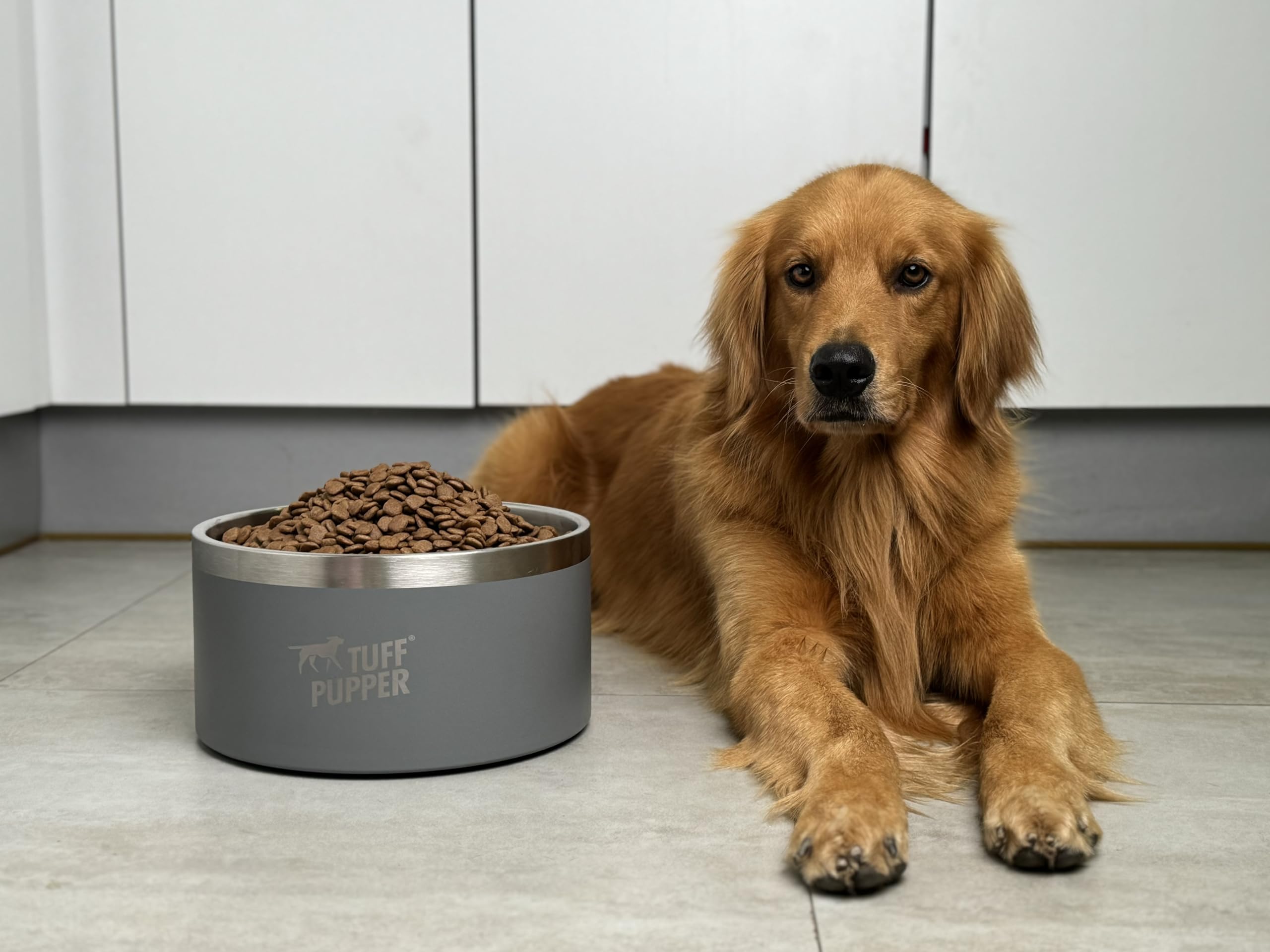 Bol Tuff Pupper double-paroi isolee, eau froide durable.
