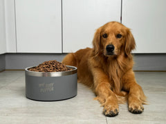 Bol Tuff Pupper double-paroi isolee, eau froide durable.