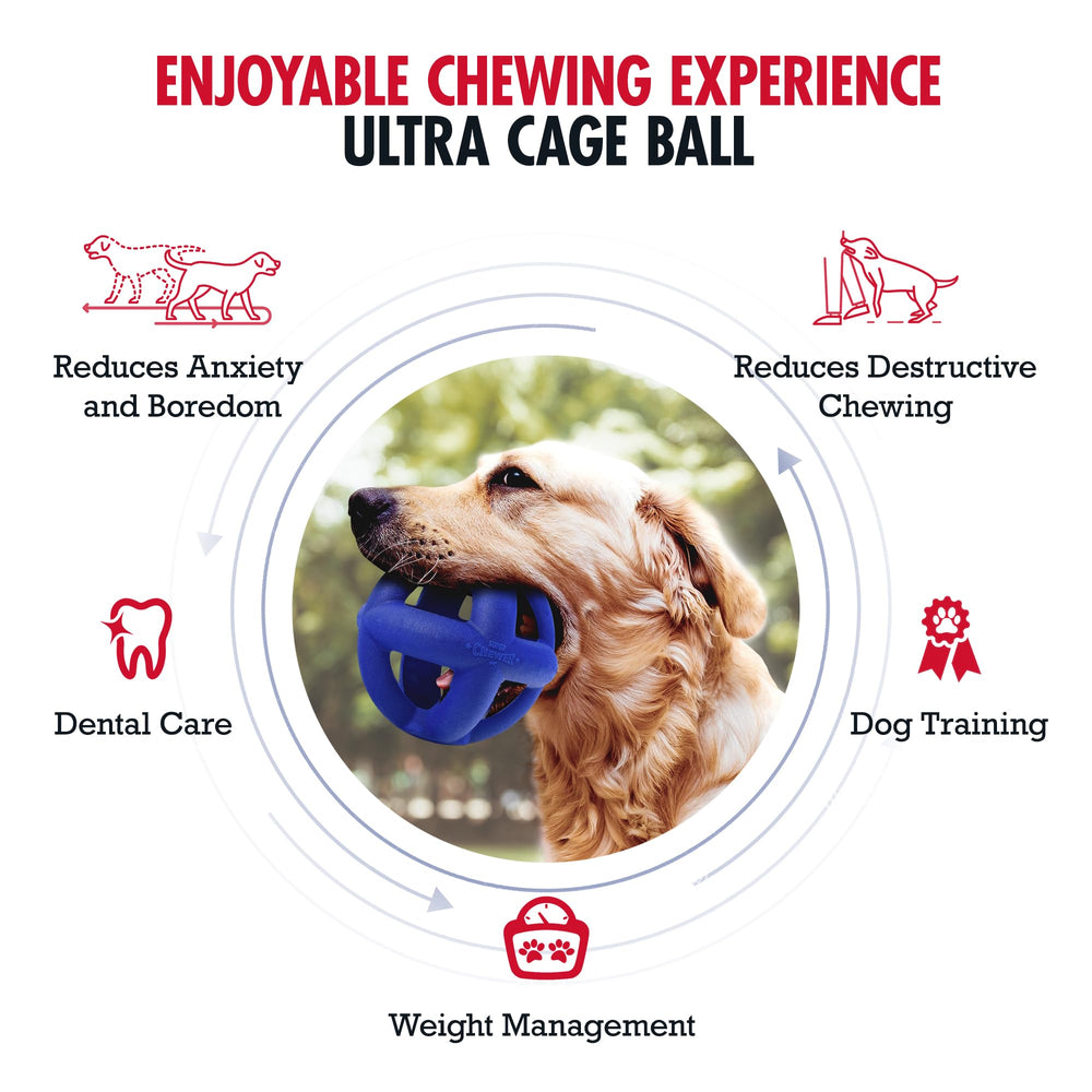 Chien en action avec la balle cage Tuff Pupper, favorise l'exercice et le rapport.
