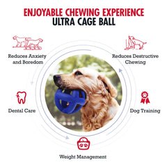 Chien en action avec la balle cage Tuff Pupper, favorise l'exercice et le rapport.