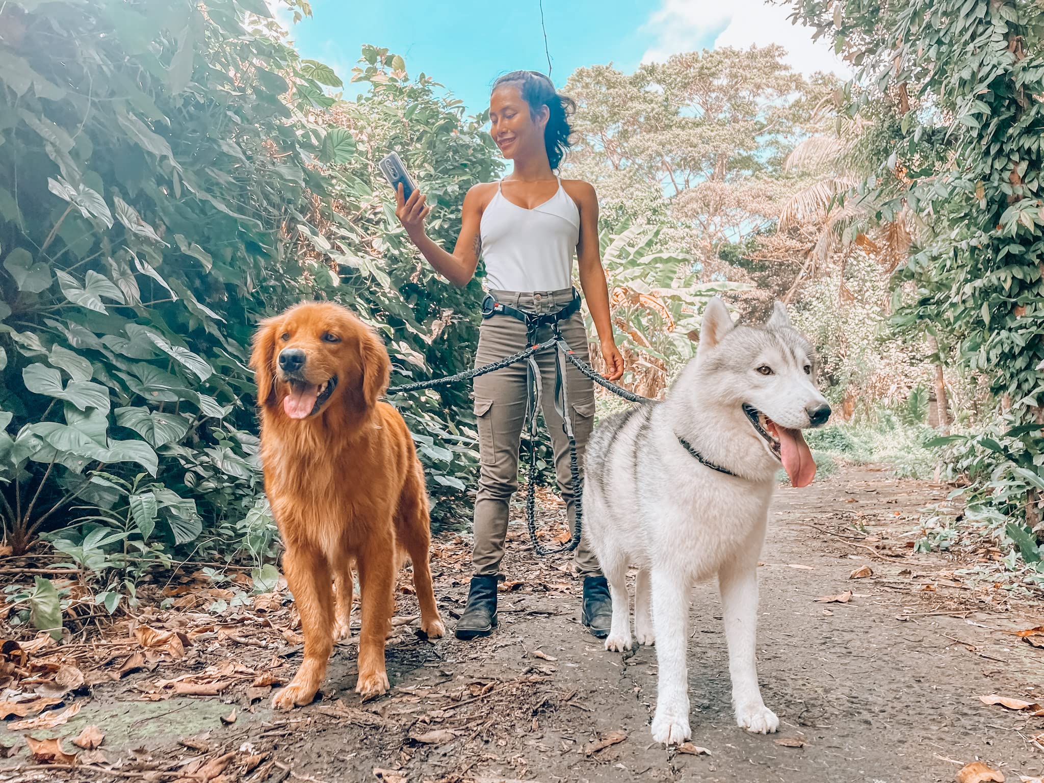 Ceinture résistante à l'eau Tuff Pupper avec piping réfléchissant pour visibilité.