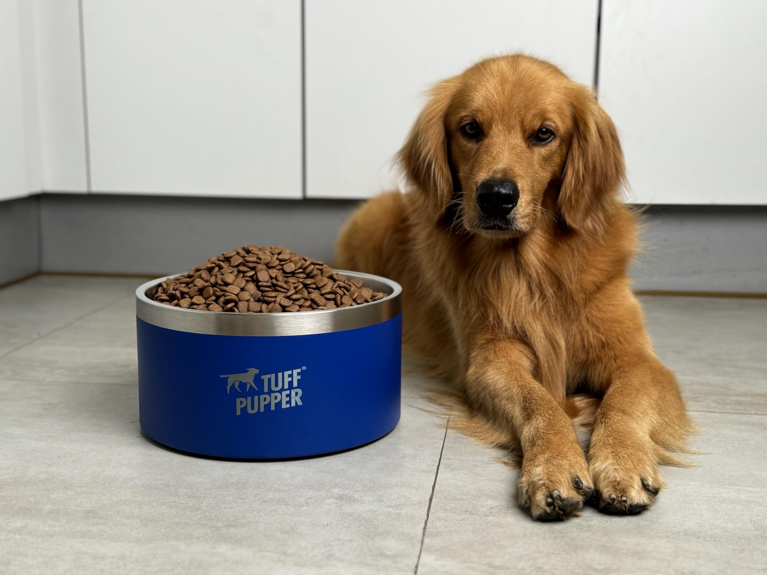Gamme Tuff Pupper double paroi bleue, eau plus fraîche.