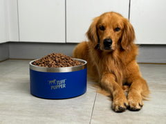 Gamme Tuff Pupper double paroi bleue, eau plus fraîche.