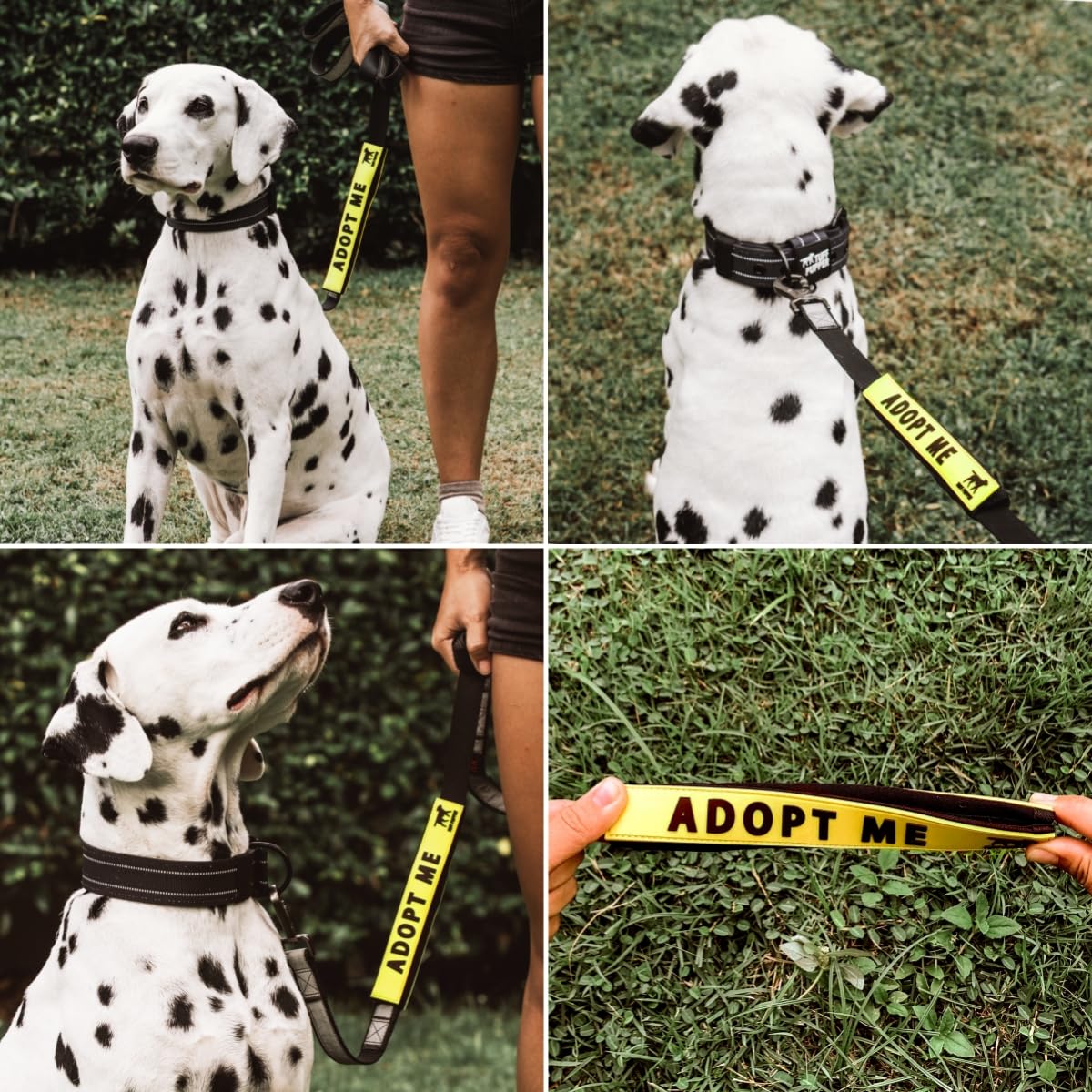 Tuff Pupper fixation sécurisée, installation rapide qui ne bouge pas.