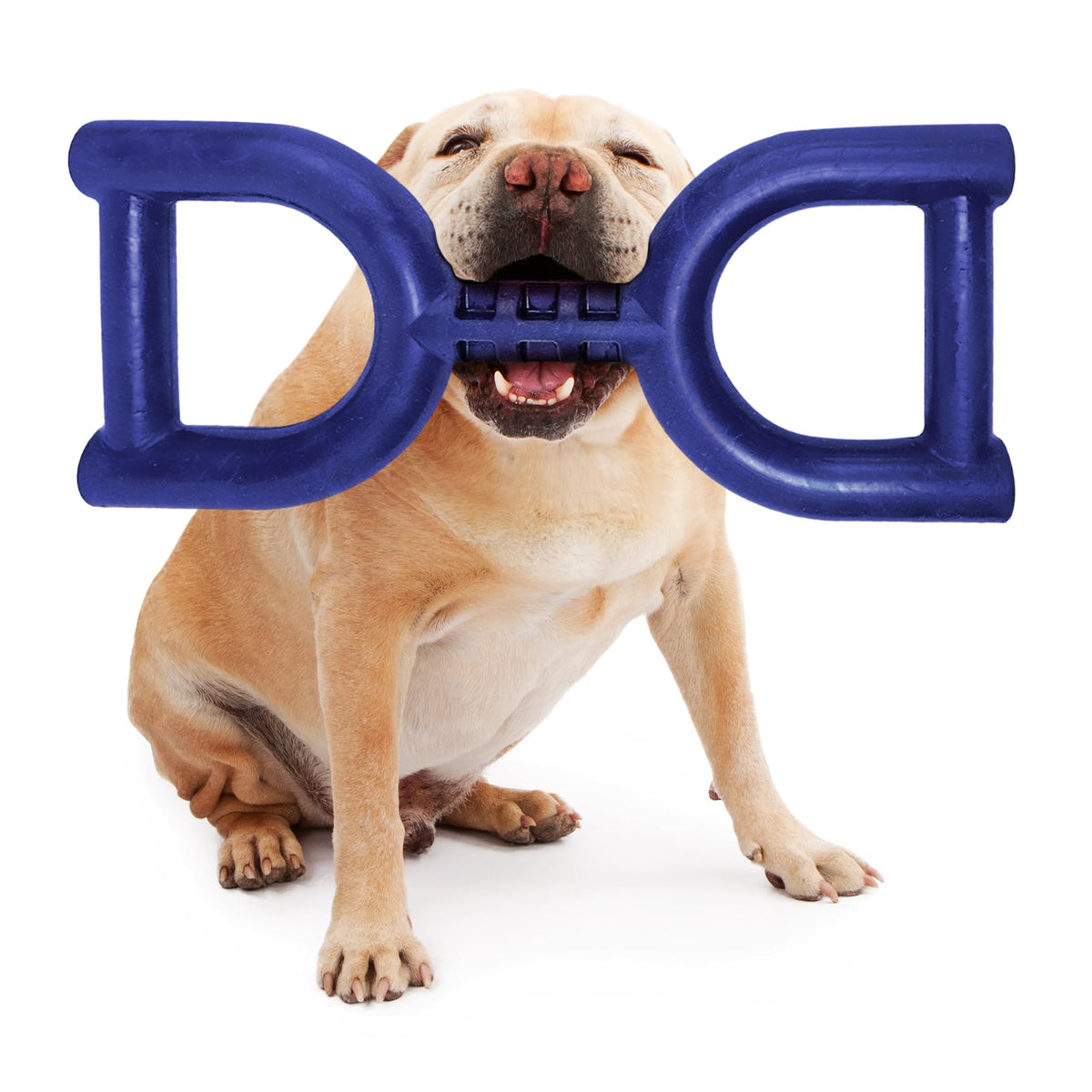 Jouet-tir Tuff Pupper pour chien moyen, favorise l'exercice et le lien.