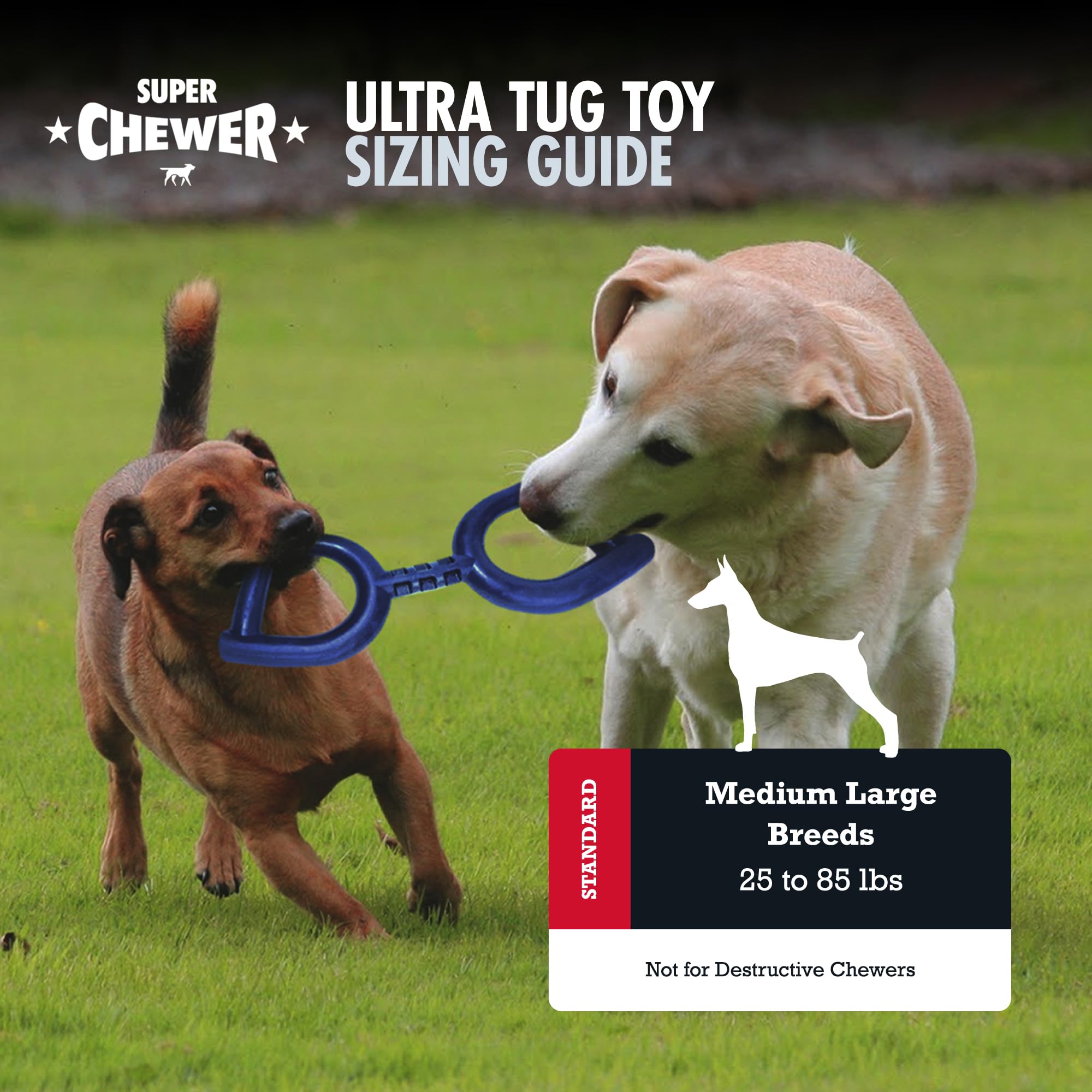 Jouet-tir Tuff Pupper contribue au nettoyage dentaire lors du jeu.