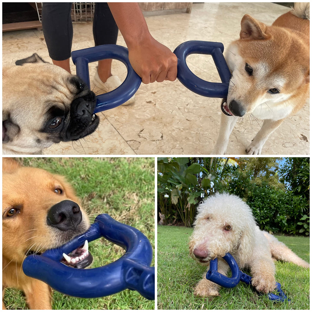 Jouet-tir Tuff Pupper aide à la rééducation comportementale pendant le tir.