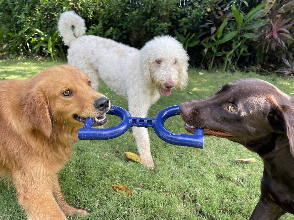 Jouet-tir Tuff Pupper idéal pour sessions quotidiennes et jeu interactif.