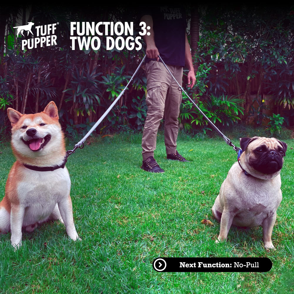 Nylon balistique résistant et composants métalliques robustes Tuff Pupper.