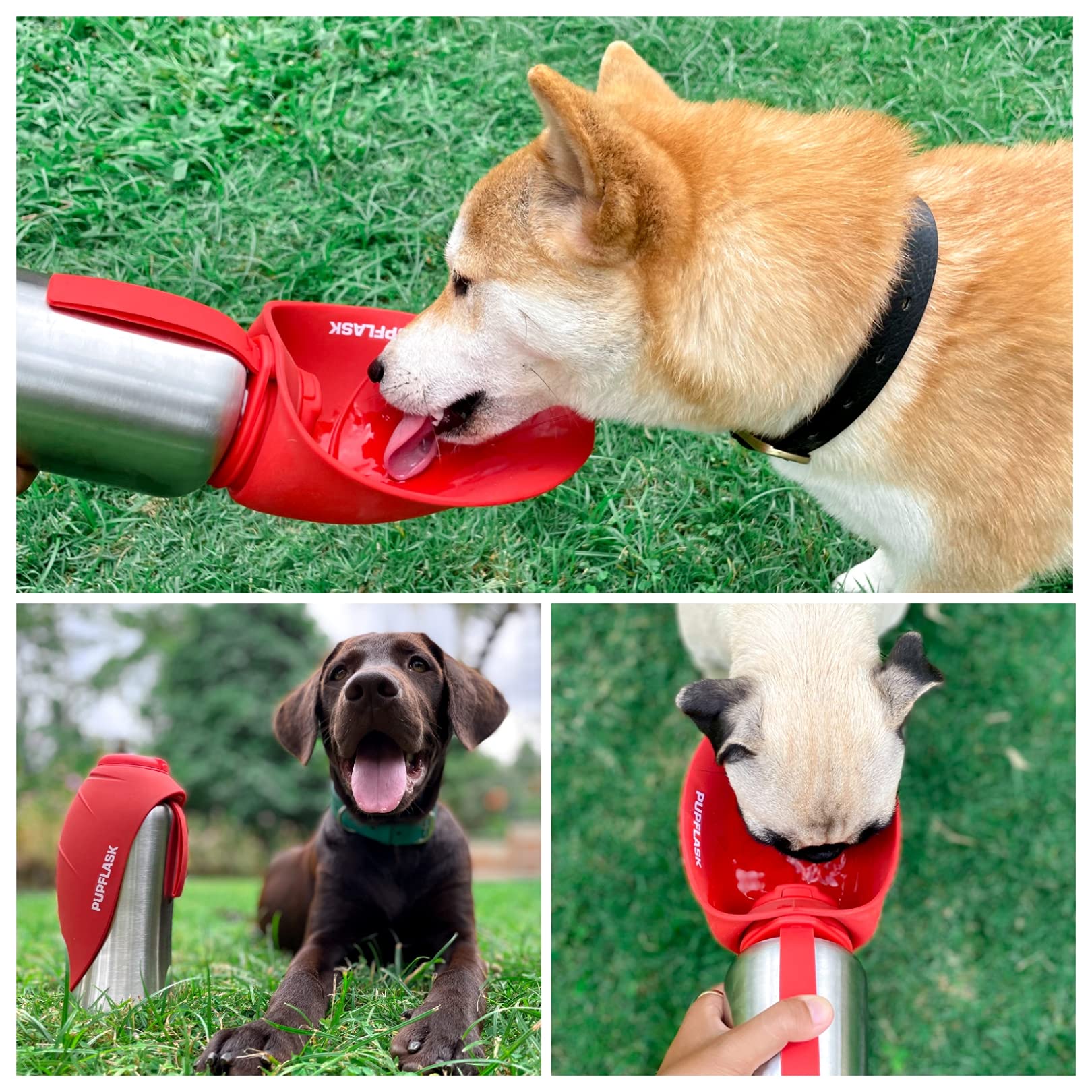 PupFlask – acier inoxydable durable, sécurité et facilité de nettoyage.