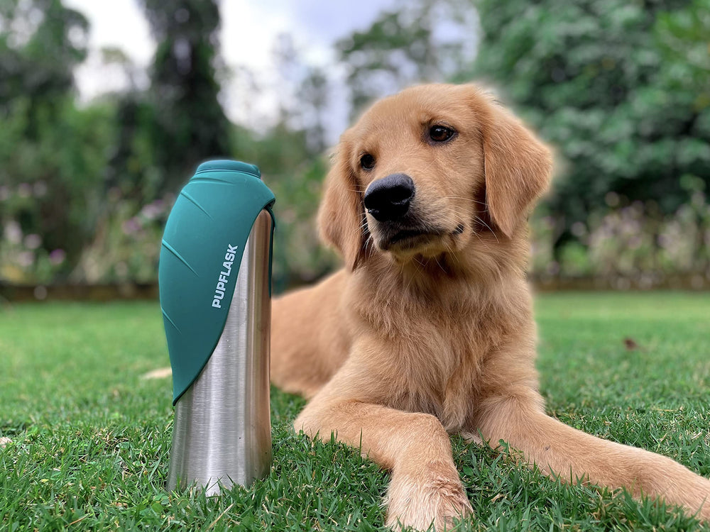 PupFlask, système anti-fuite évitant les éclaboussures et les pertes d’eau.