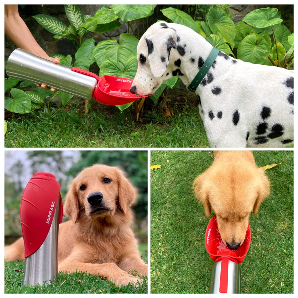 PupFlask offre 40 onces pour longues aventures.