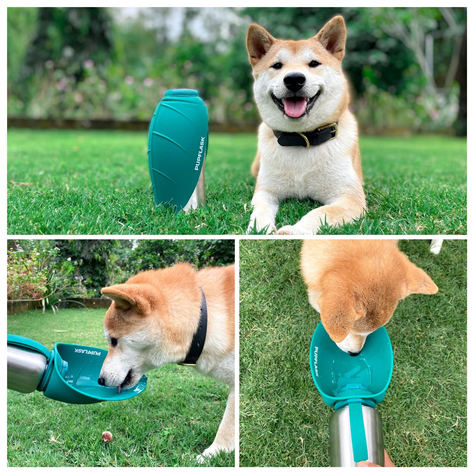 Capacité d'eau fraîche PupFlask pour sorties quotidiennes et voyages.